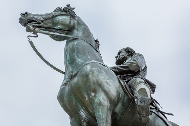 Лошадь и статуя в Вашингтоне
 - Фото, изображение