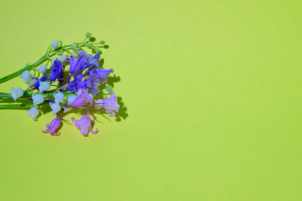 összetétele gyönyörű virágok fényes háttér, tavaszi koncepció, közelről    - Fotó, kép