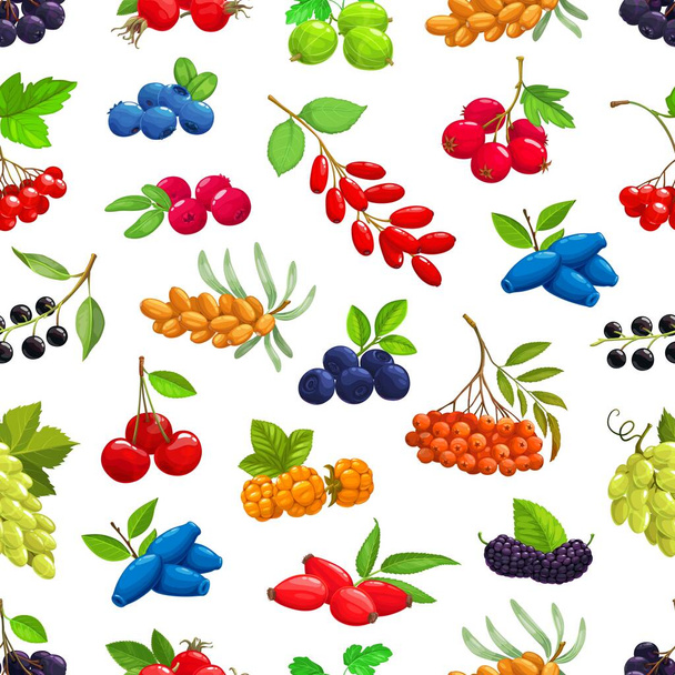 Berries seamless pattern. Cartoon vector sea buckthorn, black chokeberry and cherry, hawthorn, bilberry and gooseberry, viburnum, barberry and honeysuckle, cloudberry and grapes, rowanberry, rosehip - Vector, Image