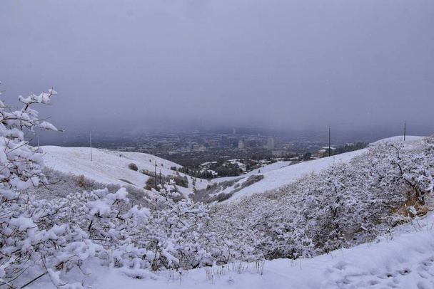 Piccolo sentiero escursionistico Black Mountain Peak vista sulla neve inverno attraverso Bonneville Shoreline Trail, Wasatch Front Rocky Mountains, da Salt Lake City, Utah. Stati Uniti. - Foto, immagini