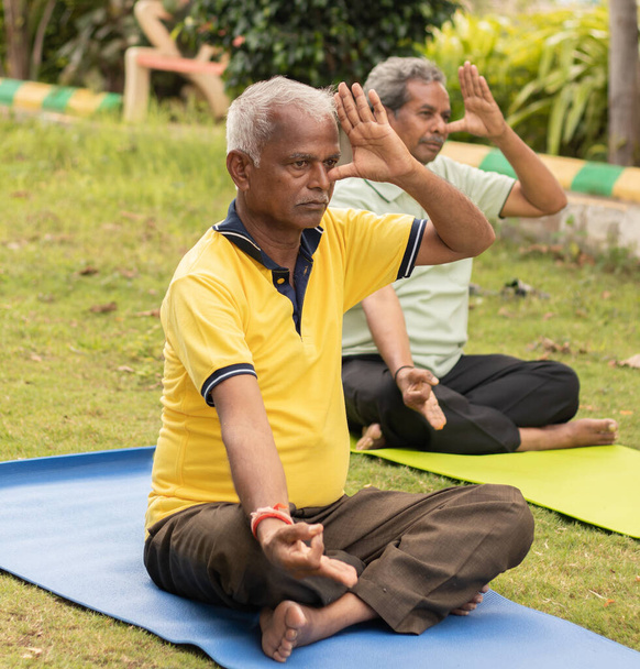 Zwei ältere Männer machen abwechselnd Nasenloch-Atemübungen oder Nadi Shodhana Pranayama im Park auf Yogamatte im Park - Konzept eines gesunden, aktiven Lebensstils für alte Menschen. - Foto, Bild