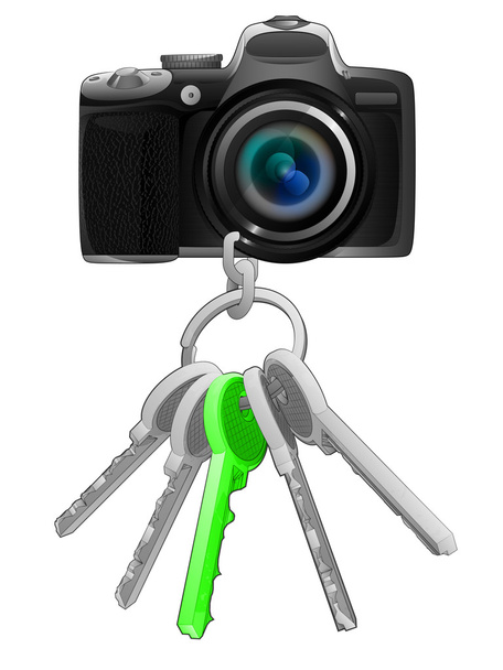 緑のキーホルダーのカメラ - ベクター画像