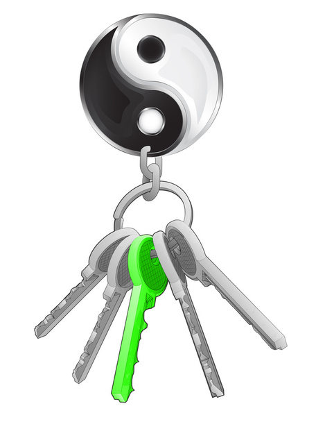 Balance icon on key ring - Vector, afbeelding