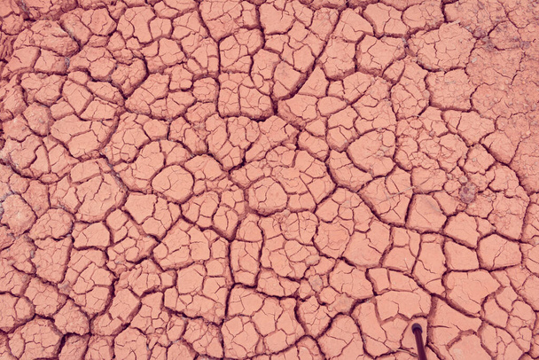 Ткань треснувшей сухой земли - Фото, изображение