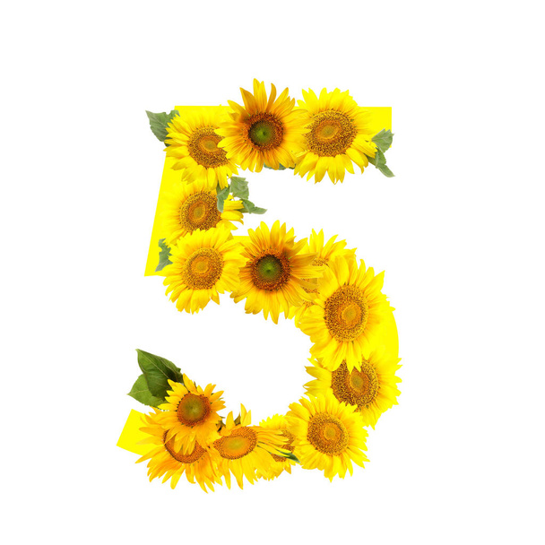 Figure 5 made of beautiful sunflowers on white background - Foto, imagen