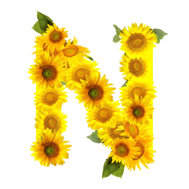 Letter N made of beautiful sunflowers on white background - Fotografie, Obrázek