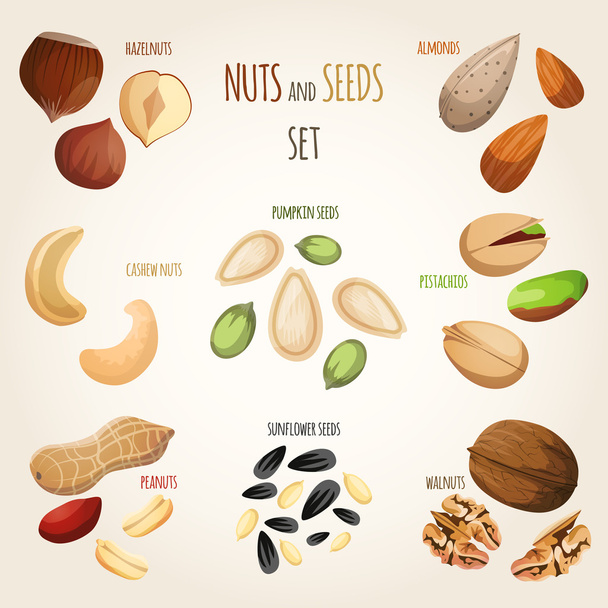 Nut mix set - Vector, Image