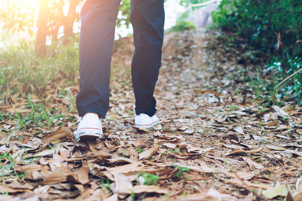 Ihminen kävelee puuhun tai viidakkoon luonto kävellä tie auringonvalolla.Hidas elämäntapa ja liikunta. - Valokuva, kuva