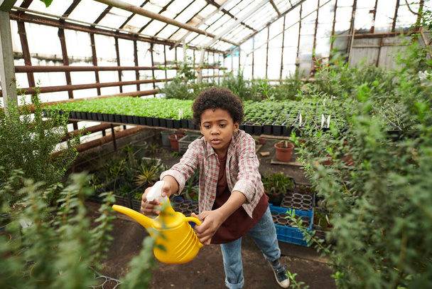 Little boy watering plants - Zdjęcie, obraz