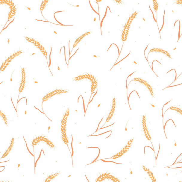 Бесшовный рисунок с цельными семенами зерна органические, естественные уши на белом фоне. - Вектор,изображение