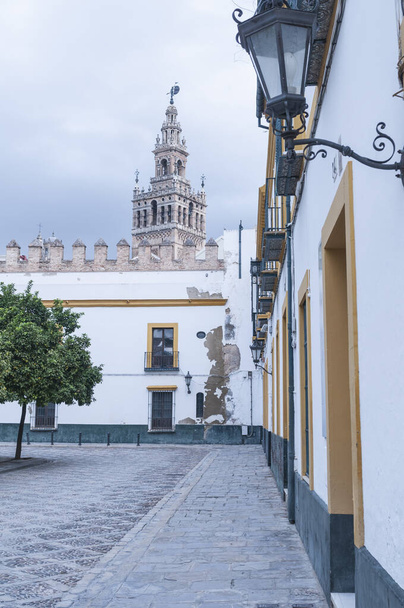 A vertical shot of the historic center of Seville, Spain - Valokuva, kuva