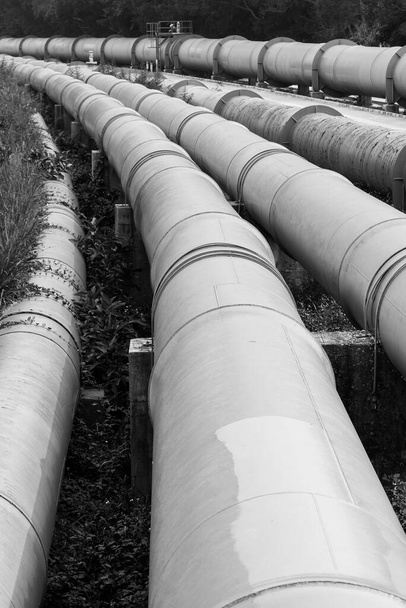 steel long pipe in crude oil factory. Industrial background - Photo, Image