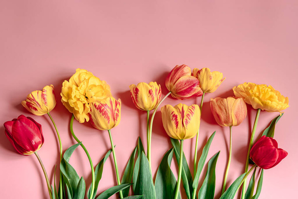 Творча весняна композиція з квітами розкладена на поверхні
. - Фото, зображення