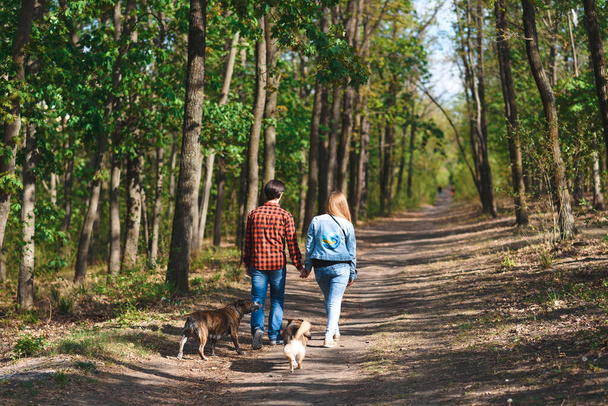 άνδρας και γυναίκα περπατώντας με δύο σκυλιά στο ηλιόλουστο πράσινο πάρκο - Φωτογραφία, εικόνα