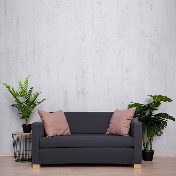 Sofá y plantas con espacio de copia sobre fondo de pared gris - Foto, Imagen