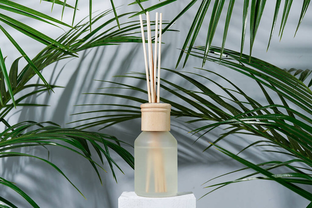 aroma riet diffuser home geur met rotan stokken op een licht blauwe achtergrond met palmbladeren en schaduwen. - Foto, afbeelding