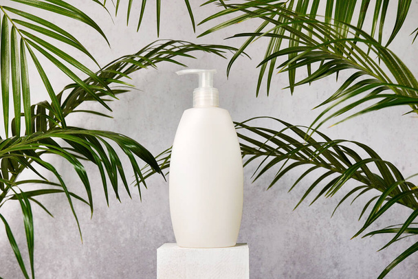 Καλλυντικό mock up μπουκάλι σαμπουάν ή τζελ σε λευκό ξύλινο βάθρο σε γκρι φόντο με φύλλα φοίνικα - Φωτογραφία, εικόνα
