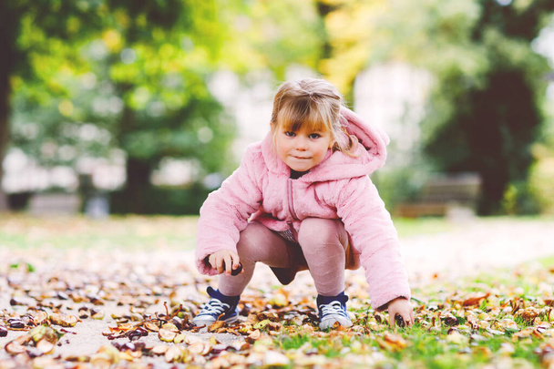 Adorable petite fille mignonne cueillette de châtaignes dans un parc le jour de l'automne. Enfant heureux s'amusant avec la recherche de châtaignier et de feuillage. Activités automnales avec enfants. - Photo, image