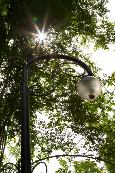 Light Pole dans un parc de jour - Photo, image