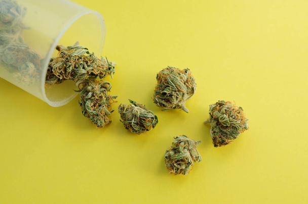 Marijuana micro-dosing concept. Cannabis buds in plastic cup on yellow background. CBD therapy, medical usage. Natural antidepressan, top view, flat lay. - Фото, зображення