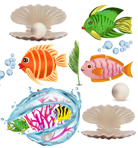 Divertidos peces tropicales coloridos, algas, corales, conchas con perlas, salpicaduras de agua. Mundo submarino, personaje de dibujos animados. Ilustración vectorial 3D - Vector, imagen