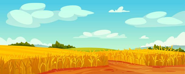 Field of ripe yellow wheat and blue sky landscape - Vector, Image