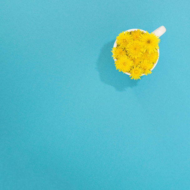taza de café lleno de soleado amarillo primavera dandelion.flowery concepto en un plano azul lay concept.minimalist idea - Foto, imagen