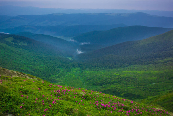 Θέα στο καλοκαιρινό τοπίο από την κορυφή του βουνού Hoverla, Καρπάθια - Φωτογραφία, εικόνα