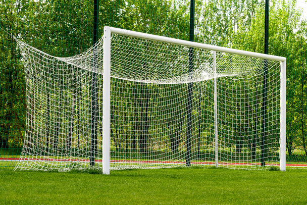 Empty football goals on the soccer field with green grass - Fotografie, Obrázek