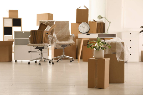 Cardboard boxes with houseplant in new office, space for text. Moving day - Foto, Bild