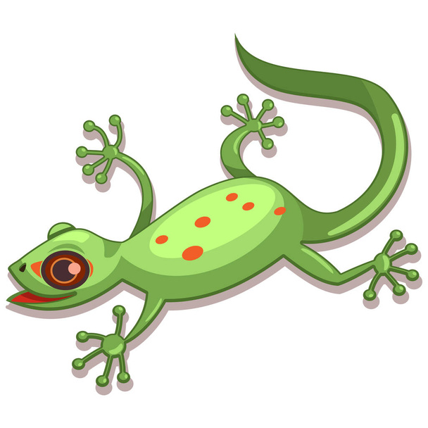 Gecko Reptil Cartoon Vektor Illustration isoliert auf weißem Hintergrund. - Vektor, Bild
