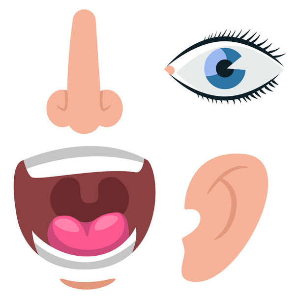 Menschliches Ohr, Nase, Augen und Mund Vektor flache Symbole isoliert auf weißem Hintergrund. - Vektor, Bild