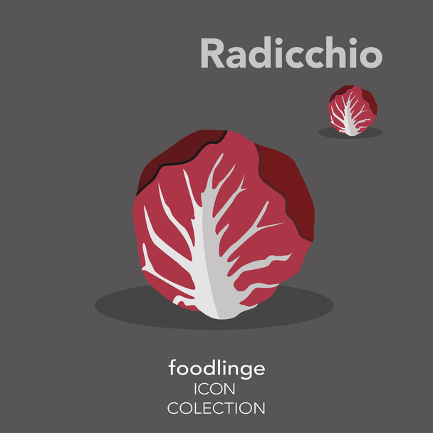 Свежая красочная овощная икона иллюстрированного Радиккио. Продукты питания - это лучший набор пиктограмм, уникальный дизайн для всех размеров и устройств. Векторная графика, логотип, символы и содержание сайта. - Вектор,изображение