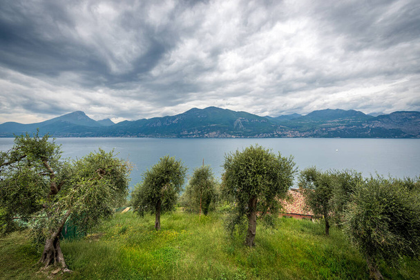 Jestem Lago di Garda. Widok na jezioro Garda z wybrzeżem Lombardii i Wenecji Euganejskiej, z małej miejscowości Castelletto di Brenzone, Brenzone sul Garda, prowincja Werona, Włochy, Europa Południowa. - Zdjęcie, obraz