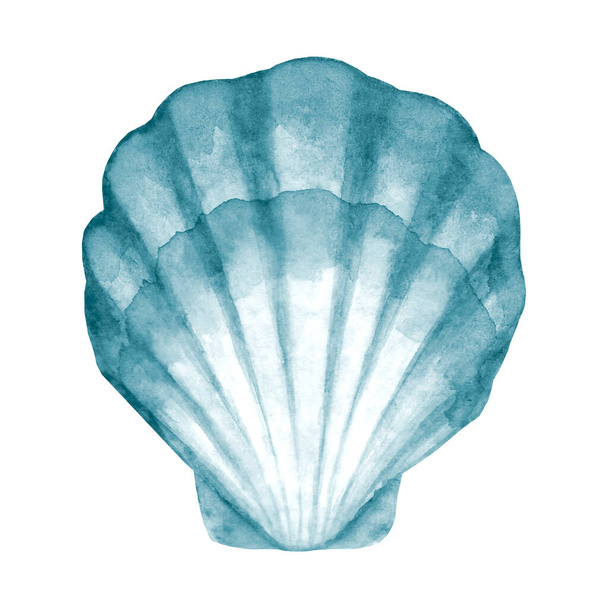 Seashell watercolor illustration. Watercolour hand drawn sea shell isolated on white background. Marine underwater element design. Print for greeting card, wallpaper, fabric, wrapping paper, banner. - Photo, Image