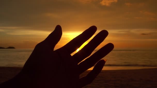 幸せな男のシルエットは日没時に太陽に彼女の手を保持しています自然の美しい光海の上に夕日や日の出光の中で素晴らしい景色黄金の時間 - 映像、動画
