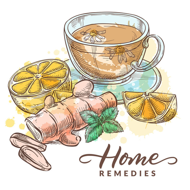 Трав'яний чай з ромашкою, лимоном, імбиром та м'ятою. Домашні засоби лікування та ліки від застуди, грипу, кашлю. Векторна рука намальована акварельна ескізна ілюстрація. Охорона здоров'я природна трав'яна терапія
 - Вектор, зображення