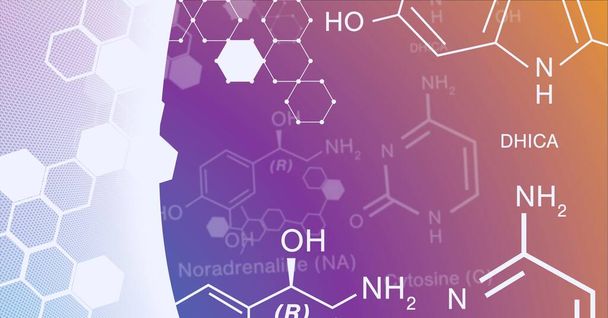 Composition of white chemical compounds structures on white and orange to purple background. global research, medicine and science concept digitally generated image. - Foto, Bild