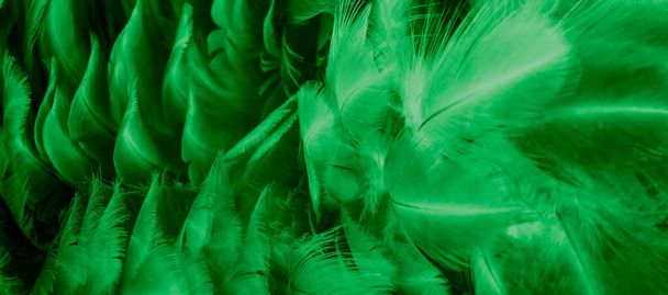 macro foto de plumas de gallina verde. fondo o textura - Foto, imagen