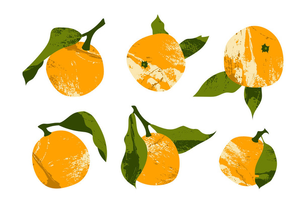 Juicy mandarin, tangerine, orange, clementine. Fresh citrus fruit, healthy organic food. Ripe fruits with leaves. Vector flat cartoon botanical illustration. Perfect for logo, stamp, brand, mark - Vetor, Imagem