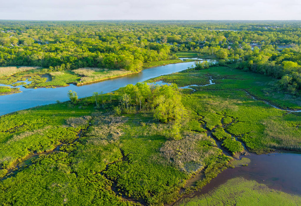 Αεροφωτογραφία ποταμών σε δασικό τοπίο το καλοκαίρι. - Φωτογραφία, εικόνα