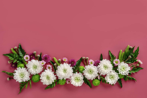 Flowers composition of colorful flowers chrysanthemum isolated on pink background. Summer wreath of chrysanthemum flowers. - Fotografie, Obrázek