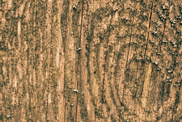 Old and rotten wooden wall. View close up - Valokuva, kuva