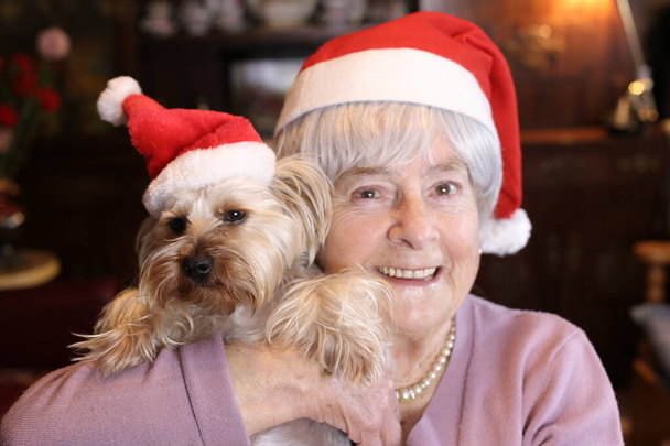 retrato de cerca de la mujer madura con su cachorro de yorkshire en sombreros de Navidad en casa - Foto, Imagen
