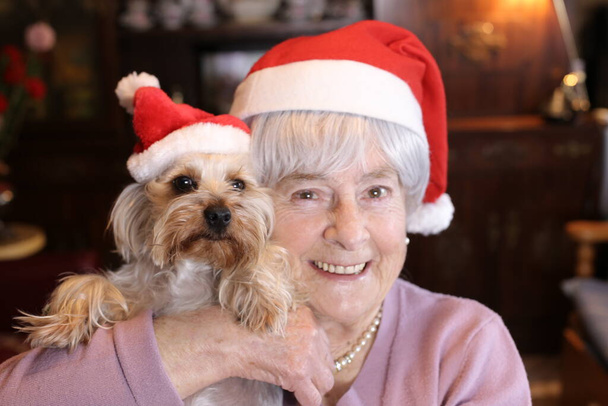 close-up portrait of mature woman with her yorkshire puppy in Christmas hats at home - Photo, Image