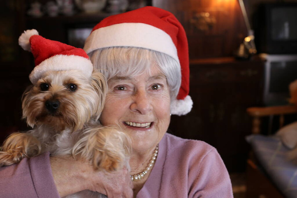 portrait en gros plan de femme mature avec son chiot yorkshire dans des chapeaux de Noël à la maison - Photo, image