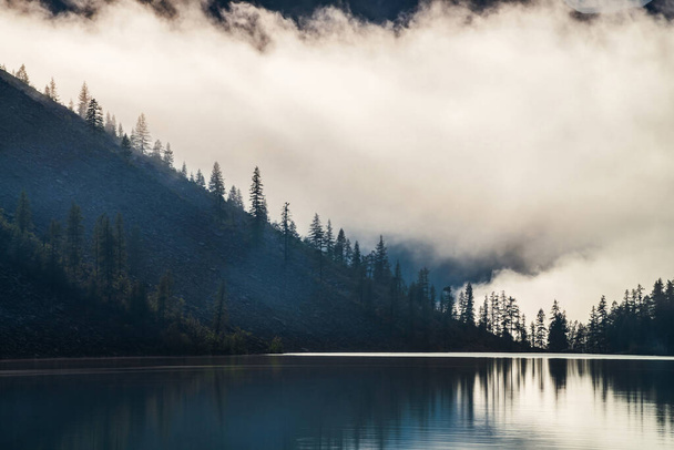 Siluetas de cimas de abeto puntiagudas en la ladera a lo largo del lago de montaña en la densa niebla. Reflejo de árboles de coníferas en aguas tranquilas y brillantes. Paisaje alpino tranquilo por la mañana temprano. Escenario atmosférico fantasmal - Foto, imagen