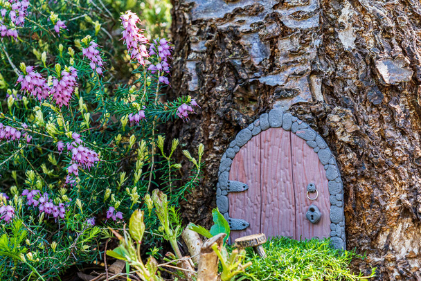 Little fairy tale door made from clay in a tree trunk with small chair. - Fotoğraf, Görsel