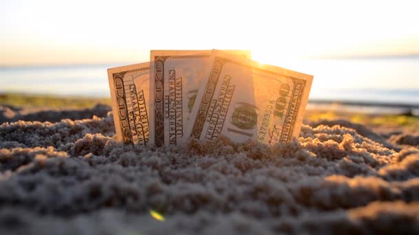 Три долари поховані в піску на піщаному пляжі біля моря на світанку заходу сонця
 - Кадри, відео