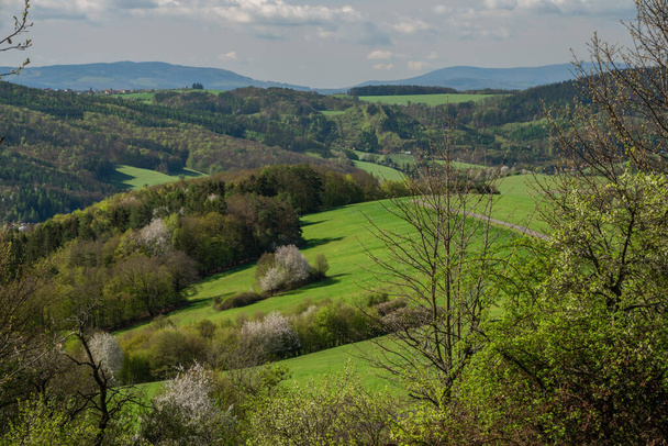 Meadows and trees near Homole village in spring sunny fresh morning in east Moravia - Fotografie, Obrázek